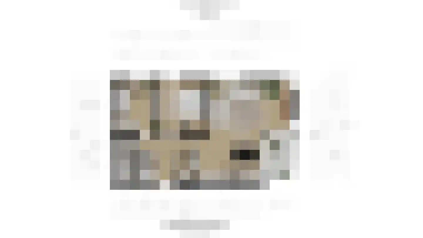 Laan van Wateringse Veld 1593 Den Haag thumbnail 30
