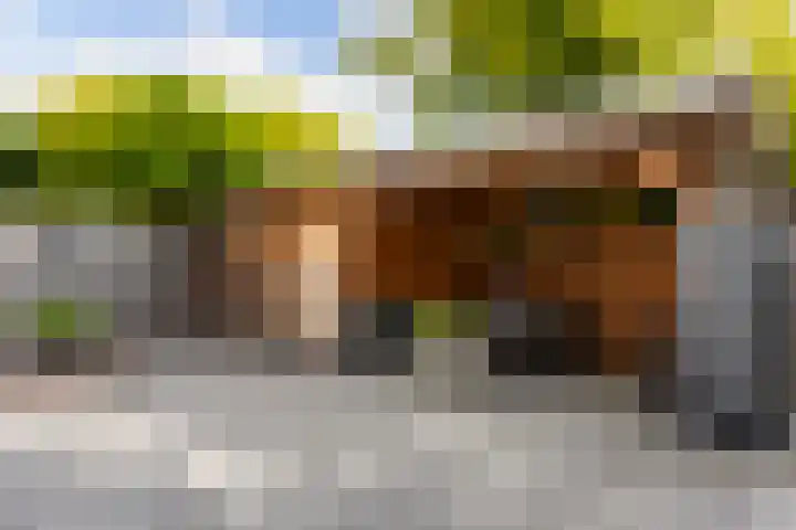 Laan van Wateringse Veld 1598 Den Haag thumbnail 12