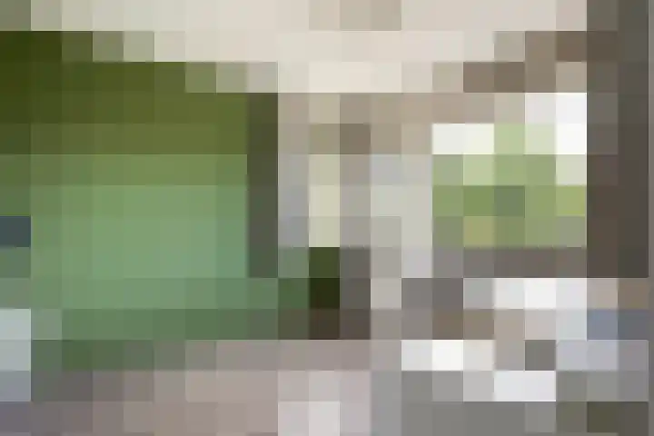 Laan van Wateringse Veld 1598 Den Haag thumbnail 16