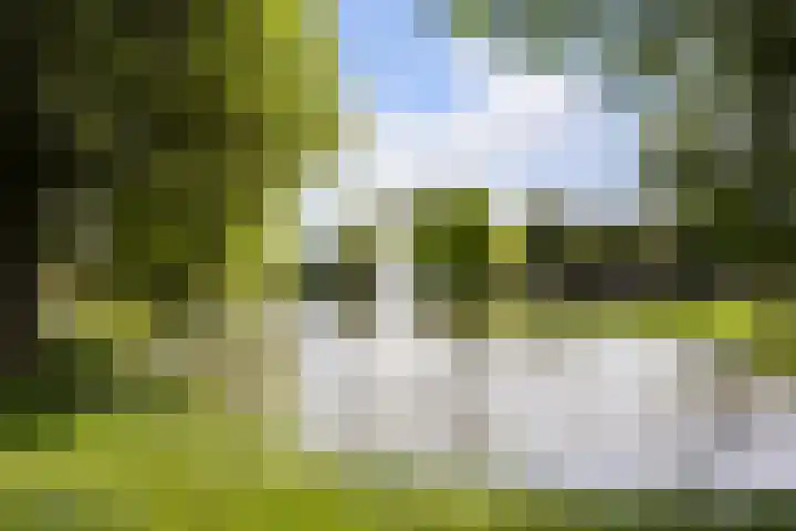 Laan van Wateringse Veld 1598 Den Haag thumbnail 31
