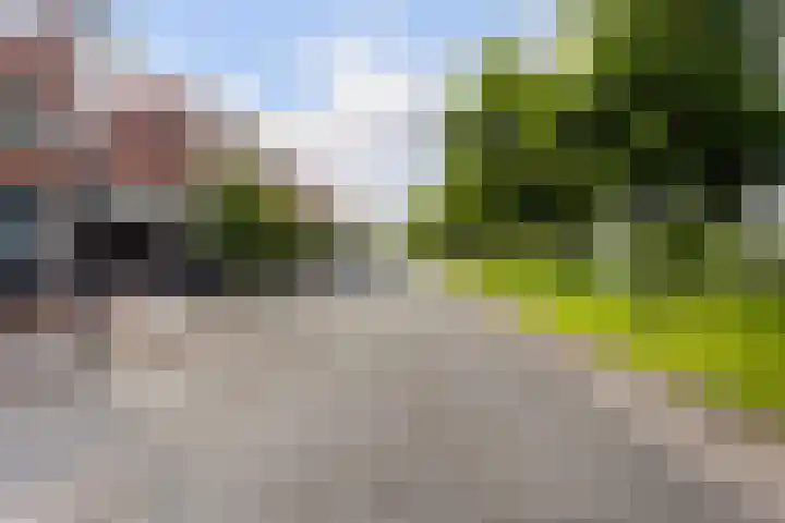 Laan van Wateringse Veld 1598 Den Haag thumbnail 32