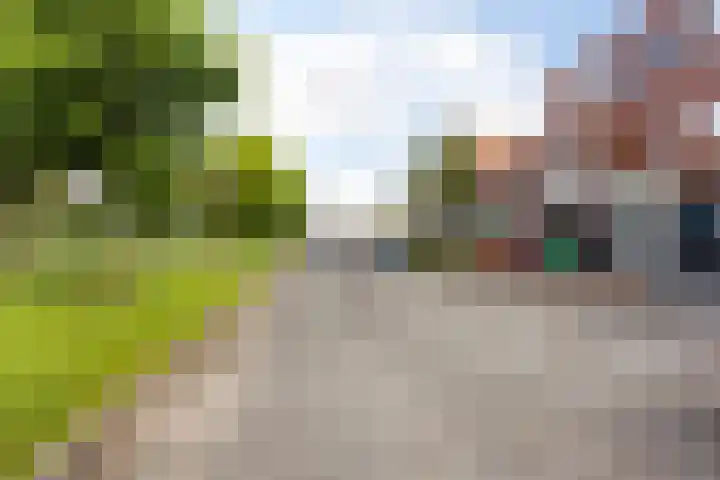 Laan van Wateringse Veld 1598 Den Haag thumbnail 33