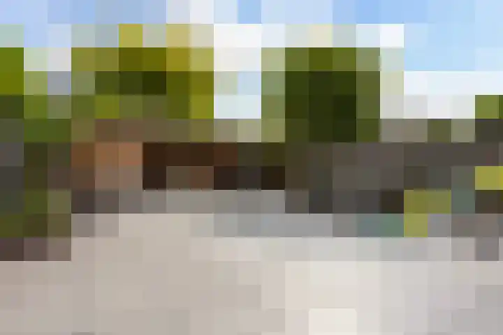 Laan van Wateringse Veld 1598 Den Haag thumbnail 4