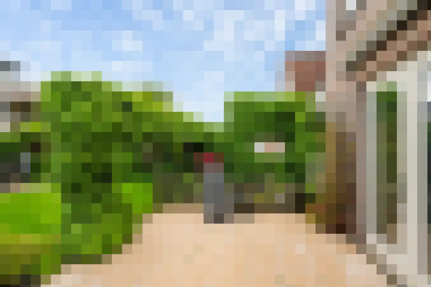 Laan van Wateringse Veld 1606 Den Haag thumbnail 14