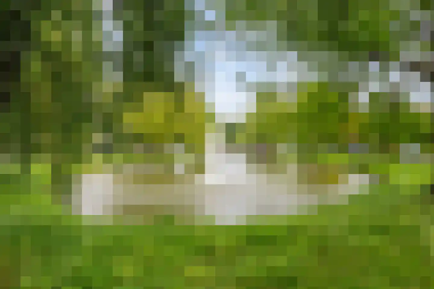 Laan van Wateringse Veld 1606 Den Haag thumbnail 4