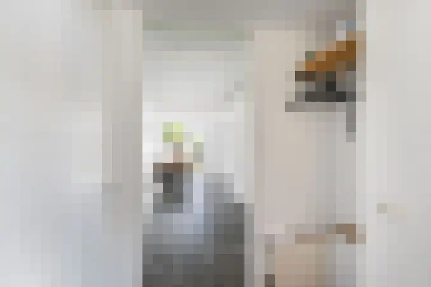 Laan van Wateringse Veld 1616 Den Haag thumbnail 11