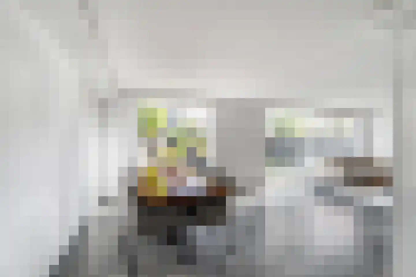 Laan van Wateringse Veld 1616 Den Haag thumbnail 13