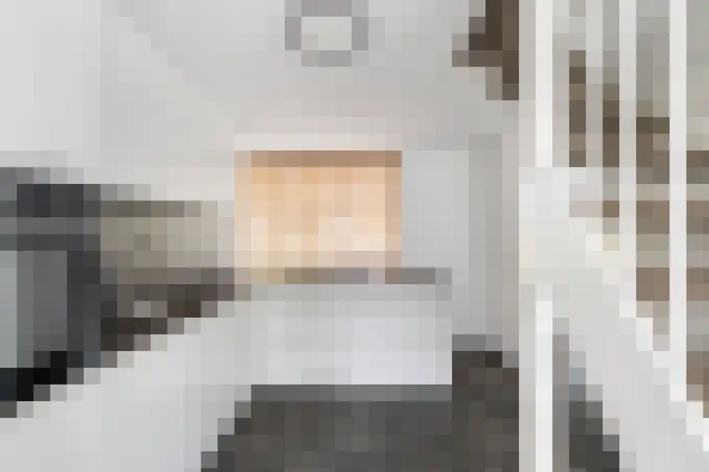 Laan van Wateringse Veld 1616 Den Haag thumbnail 17