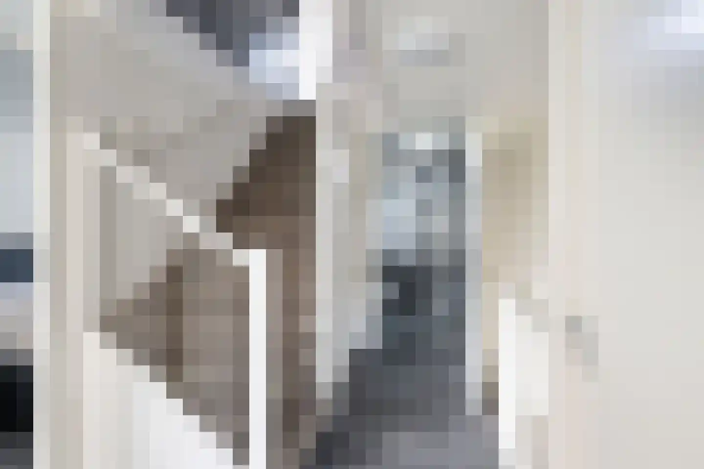 Laan van Wateringse Veld 1616 Den Haag thumbnail 18