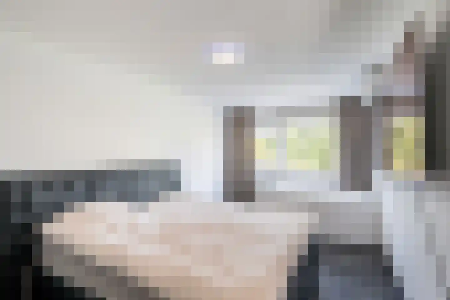 Laan van Wateringse Veld 1616 Den Haag thumbnail 4