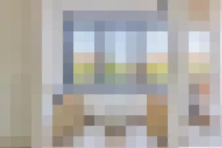 Laan van Wateringse Veld 332 Den Haag thumbnail 13