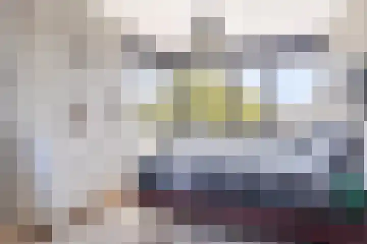 Laan van Wateringse Veld 332 Den Haag thumbnail 14