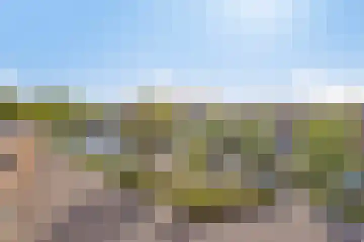 Laan van Wateringse Veld 332 Den Haag thumbnail 19