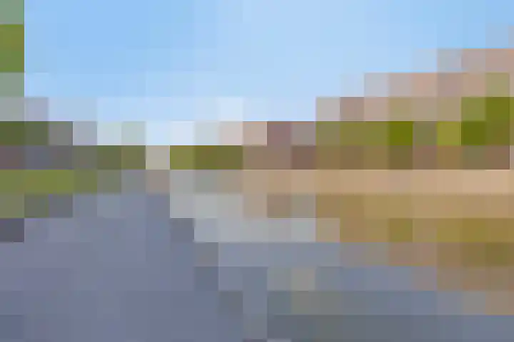 Laan van Wateringse Veld 332 Den Haag thumbnail 20