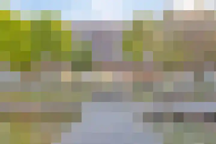 Laan van Wateringse Veld 332 Den Haag thumbnail 21