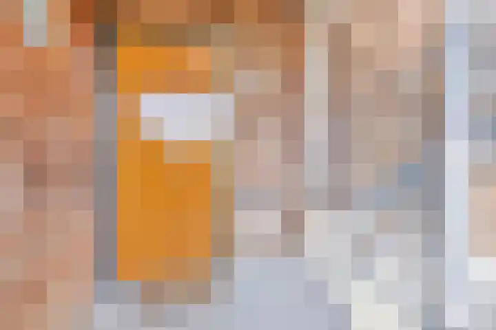 Laan van Wateringse Veld 332 Den Haag thumbnail 4