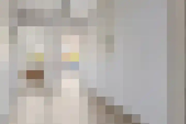 Laan van Wateringse Veld 332 Den Haag thumbnail 5
