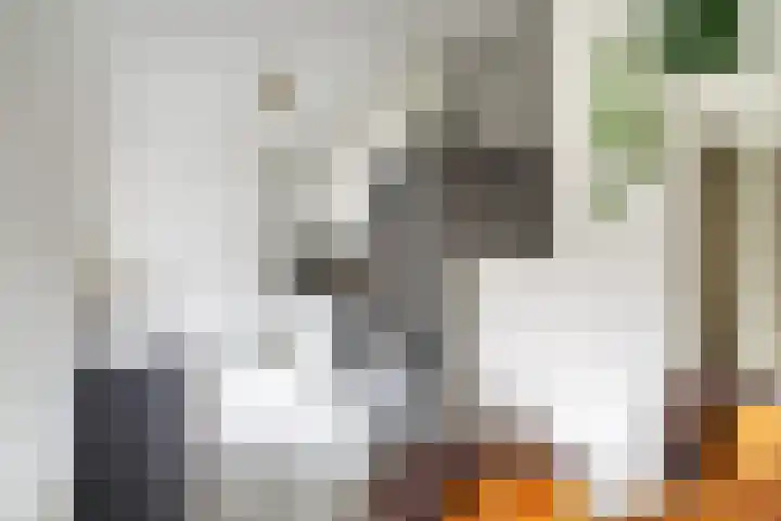 Laan van Wateringse Veld 342 Den Haag thumbnail 15