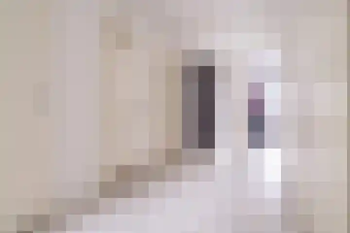 Laan van Wateringse Veld 342 Den Haag thumbnail 22