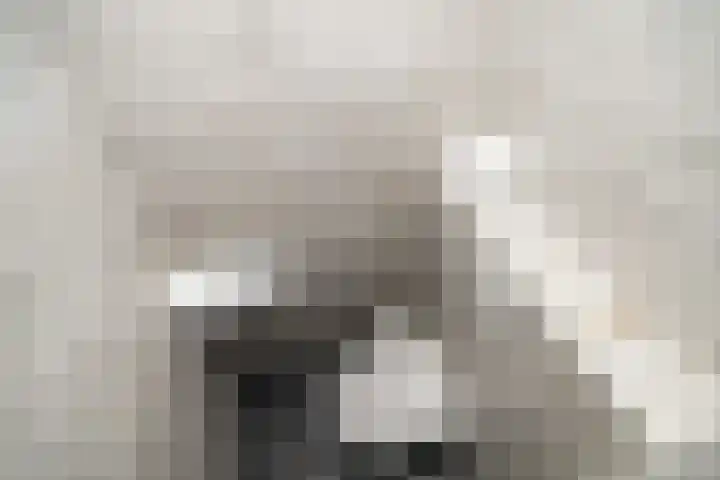 Laan van Wateringse Veld 342 Den Haag thumbnail 27