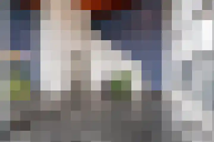 Laan van Wateringse Veld 342 Den Haag thumbnail 32