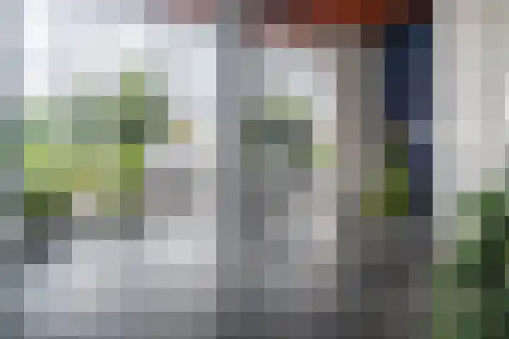 Laan van Wateringse Veld 342 Den Haag thumbnail 33