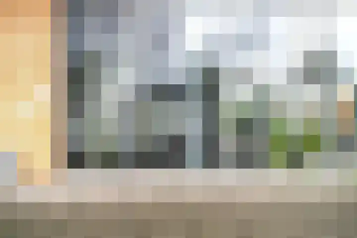 Laan van Wateringse Veld 342 Den Haag thumbnail 34