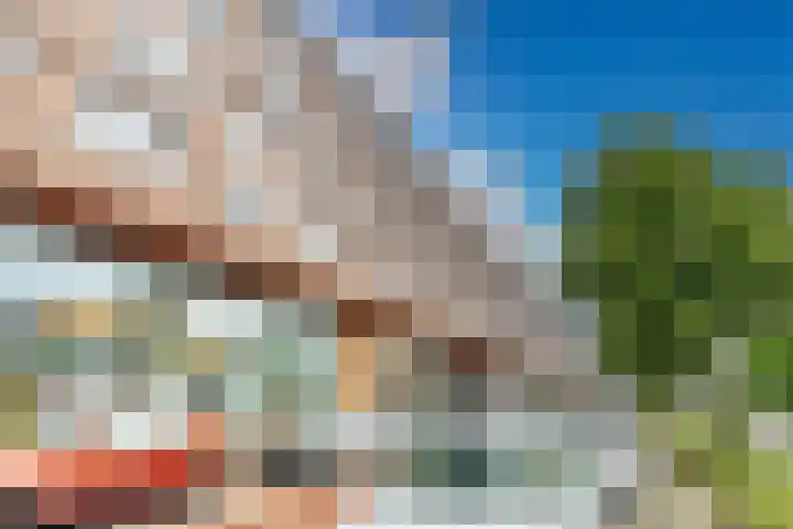 Laan van Wateringse Veld 342 Den Haag thumbnail 35
