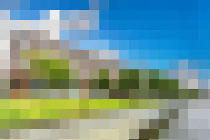 Laan van Wateringse Veld 342 Den Haag thumbnail 37