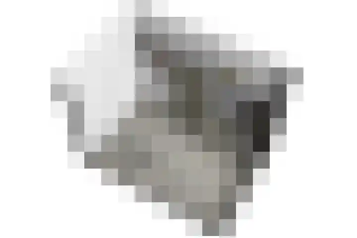 Laan van Wateringse Veld 342 Den Haag thumbnail 39