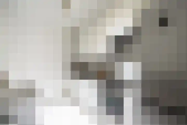 Laan van Wateringse Veld 342 Den Haag thumbnail 4