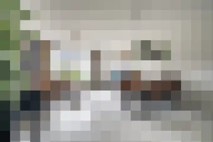 Laan van Wateringse Veld 342 Den Haag thumbnail 6