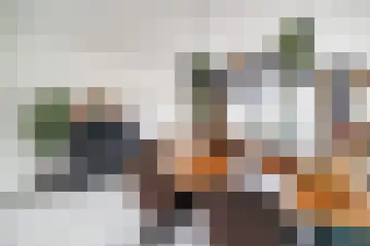 Laan van Wateringse Veld 342 Den Haag thumbnail 8
