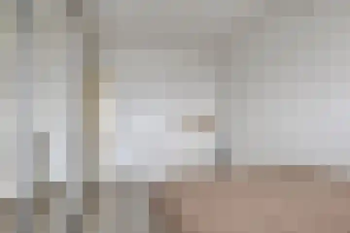 Laan van Wateringse Veld 346 Den Haag thumbnail 12