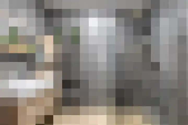 Laan van Wateringse Veld 346 Den Haag thumbnail 13
