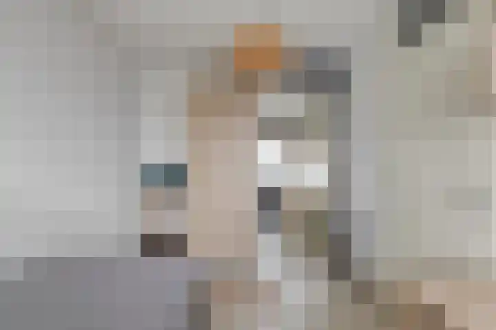Laan van Wateringse Veld 346 Den Haag thumbnail 16