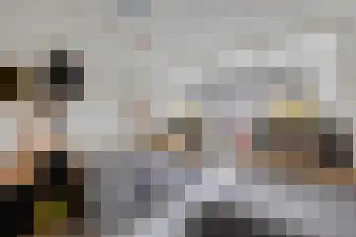 Laan van Wateringse Veld 346 Den Haag thumbnail 18