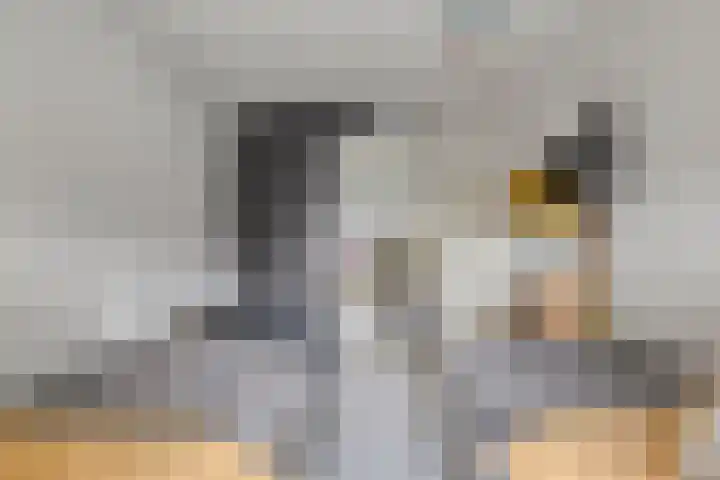 Laan van Wateringse Veld 346 Den Haag thumbnail 19