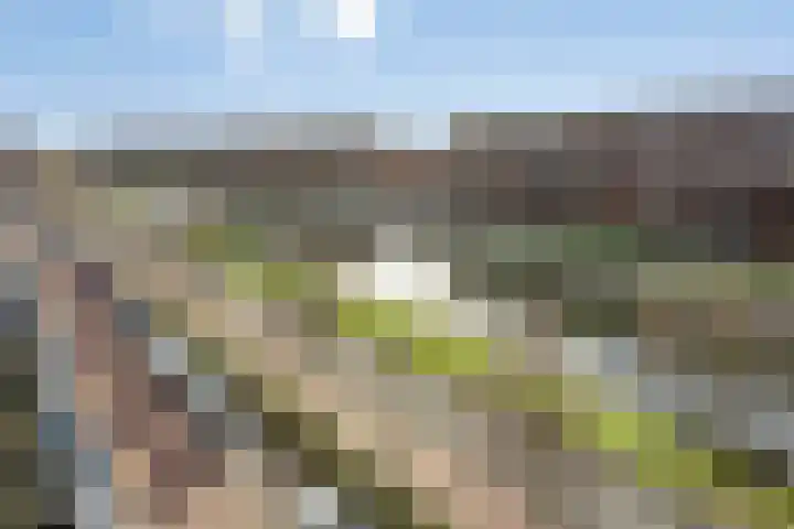 Laan van Wateringse Veld 346 Den Haag thumbnail 24