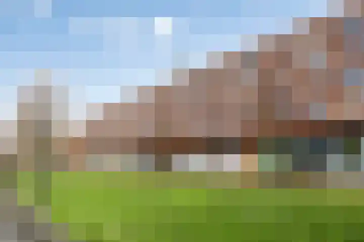 Laan van Wateringse Veld 346 Den Haag thumbnail 26
