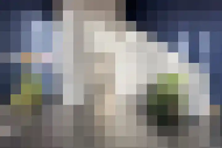 Laan van Wateringse Veld 346 Den Haag thumbnail 28