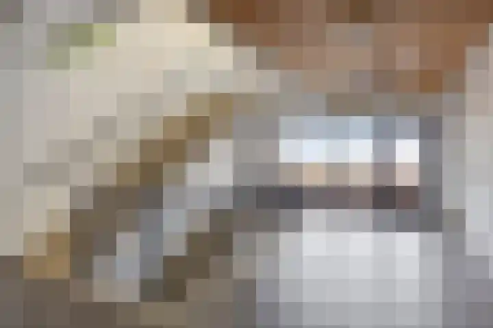 Laan van Wateringse Veld 346 Den Haag thumbnail 29