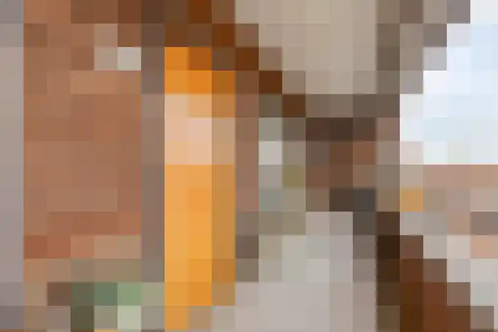 Laan van Wateringse Veld 346 Den Haag thumbnail 4