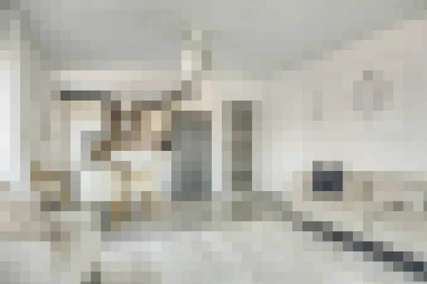 Laan van Wateringse Veld 348 Den Haag thumbnail 12