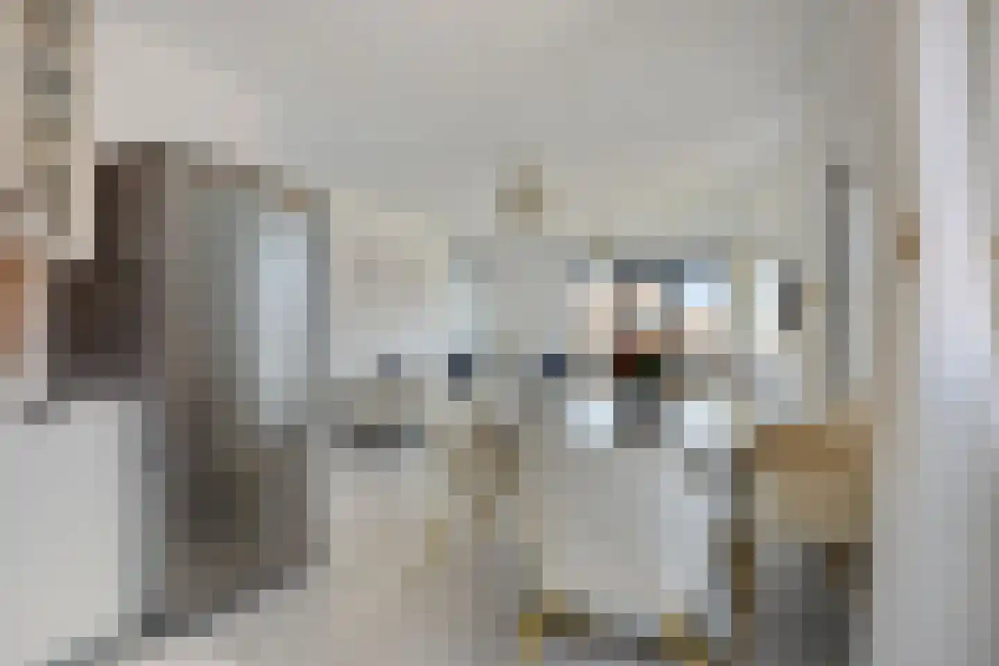 Laan van Wateringse Veld 348 Den Haag thumbnail 14