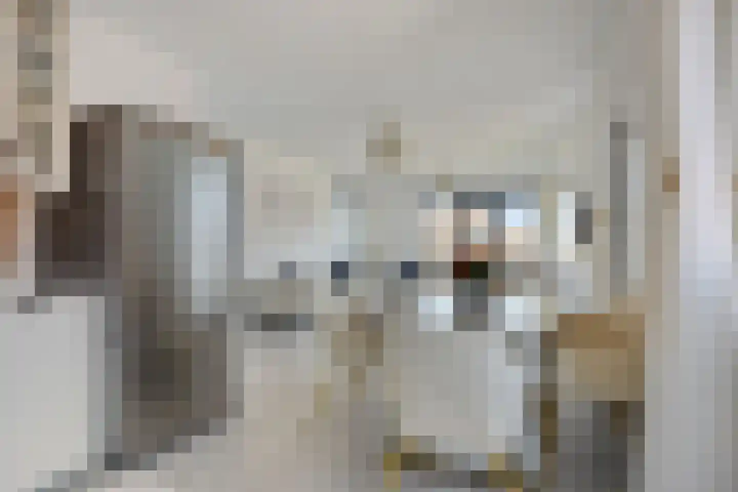 Laan van Wateringse Veld 348 Den Haag thumbnail 14
