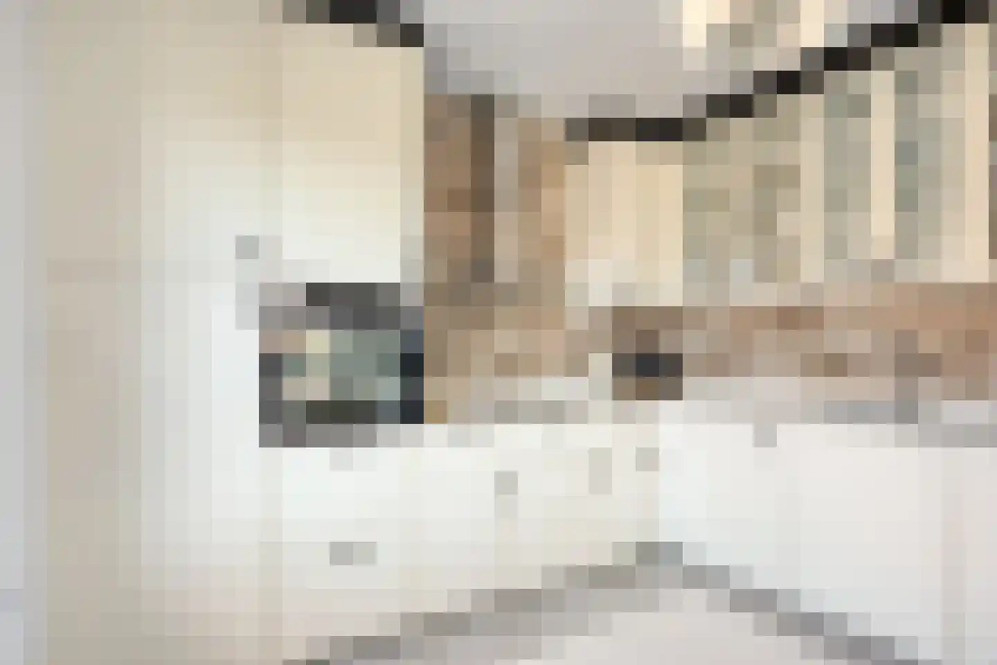 Laan van Wateringse Veld 348 Den Haag thumbnail 16