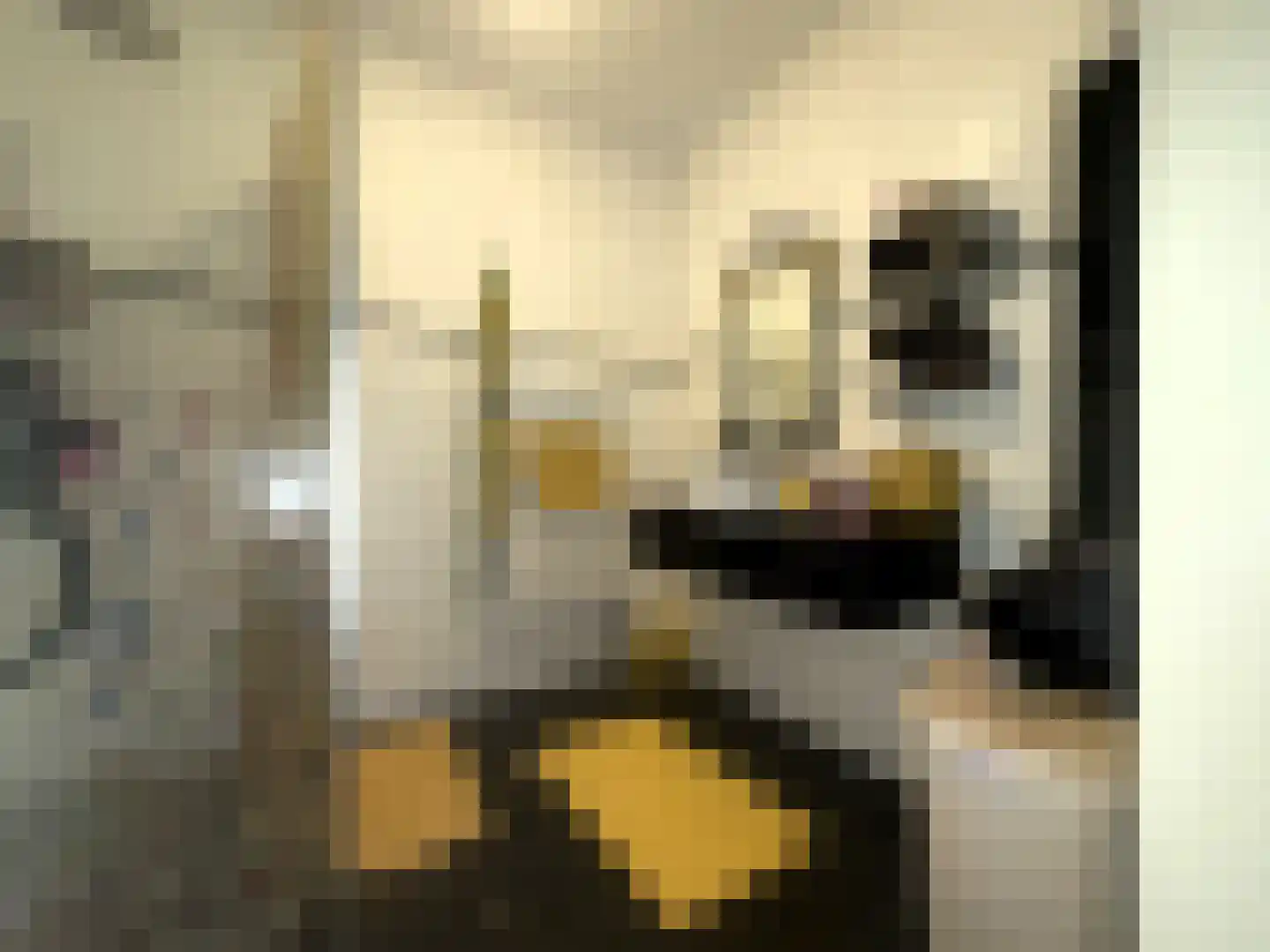 Laan van Wateringse Veld 364 Den Haag thumbnail 14