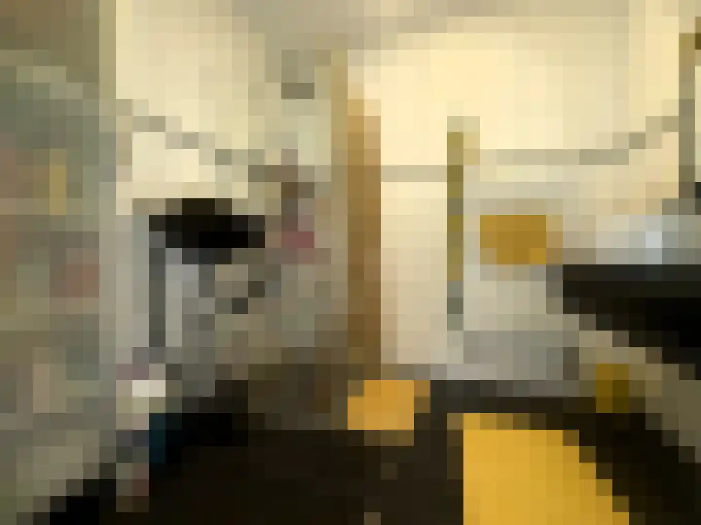 Laan van Wateringse Veld 364 Den Haag thumbnail 15