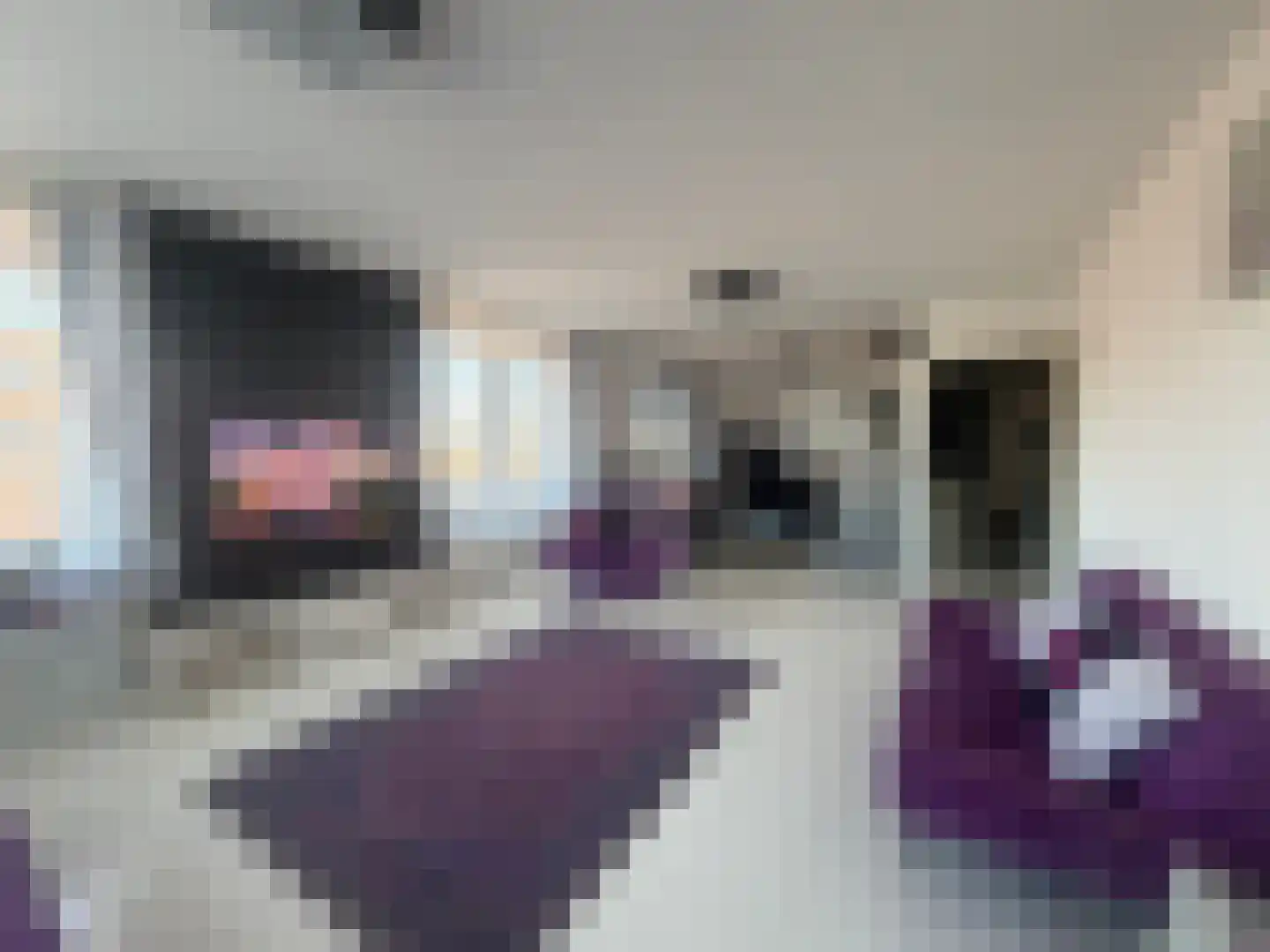 Laan van Wateringse Veld 364 Den Haag thumbnail 6